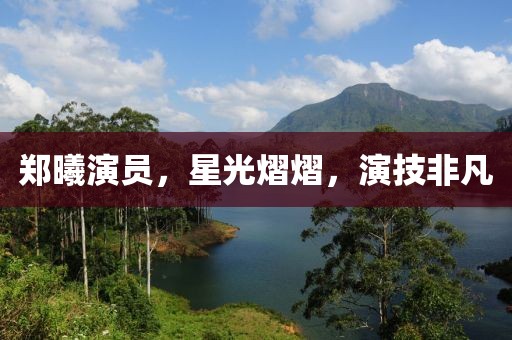 郑曦演员，星光熠熠，演技非凡