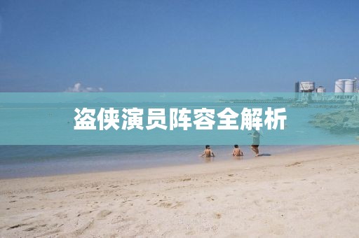 盗侠演员阵容全解析