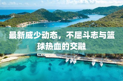 最新威少动态，不屈斗志与篮球热血的交融