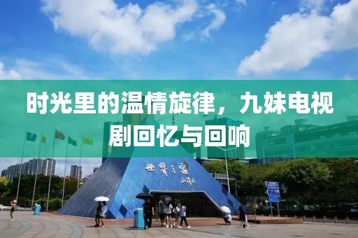 时光里的温情旋律，九妹电视剧回忆与回响