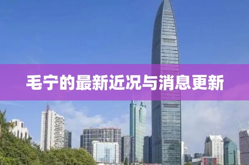 毛宁的最新近况与消息更新