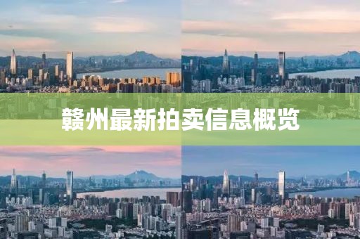 赣州最新拍卖信息概览