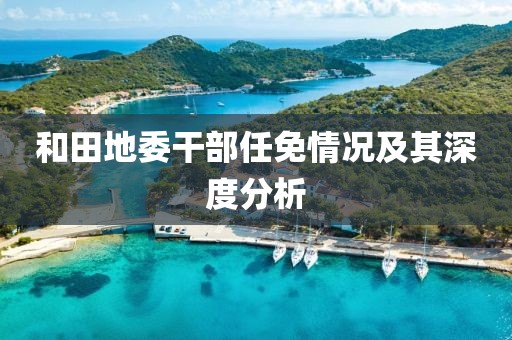 和田地委干部任免情况及其深度分析
