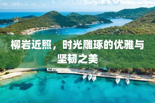 柳岩近照，时光雕琢的优雅与坚韧之美