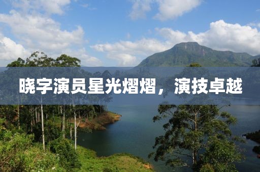 晓字演员星光熠熠，演技卓越