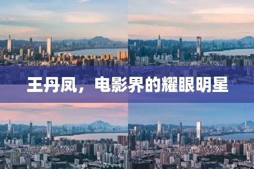 王丹凤，电影界的耀眼明星