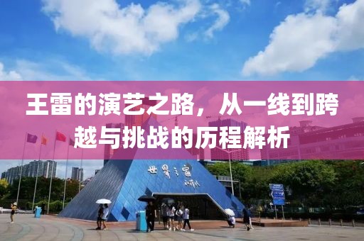 王雷的演艺之路，从一线到跨越与挑战的历程解析