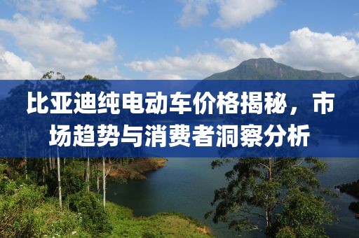 比亚迪纯电动车价格揭秘，市场趋势与消费者洞察分析