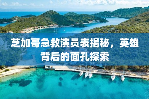 芝加哥急救演员表揭秘，英雄背后的面孔探索