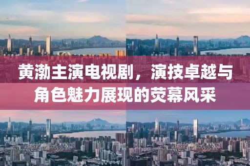 黄渤主演电视剧，演技卓越与角色魅力展现的荧幕风采