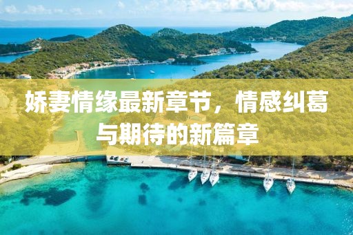 娇妻情缘最新章节，情感纠葛与期待的新篇章