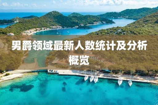 男爵领域最新人数统计及分析概览