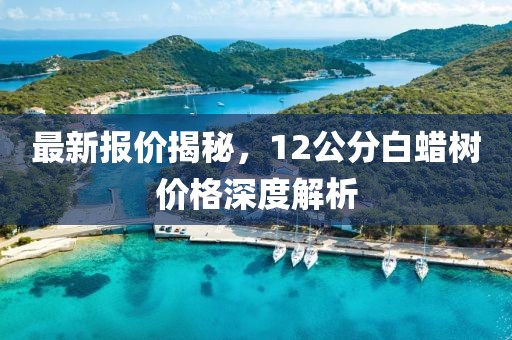 最新报价揭秘，12公分白蜡树价格深度解析
