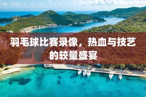 羽毛球比赛录像，热血与技艺的较量盛宴