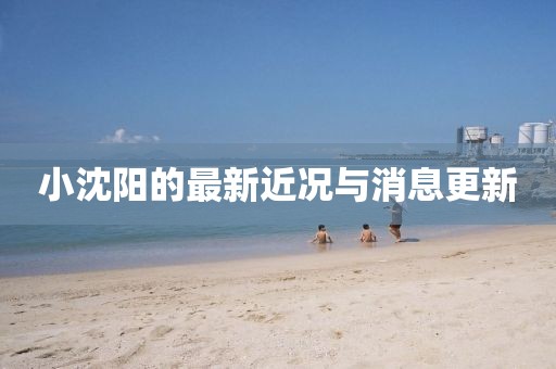 小沈阳的最新近况与消息更新