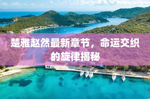 楚雅赵然最新章节，命运交织的旋律揭秘