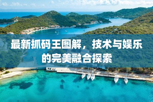 最新抓码王图解，技术与娱乐的完美融合探索