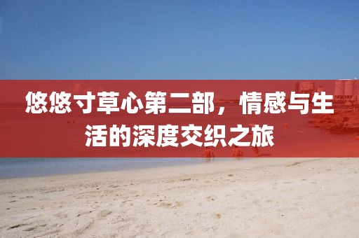 悠悠寸草心第二部，情感与生活的深度交织之旅