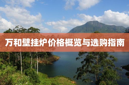 万和壁挂炉价格概览与选购指南