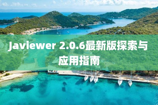 Javiewer 2.0.6最新版探索与应用指南