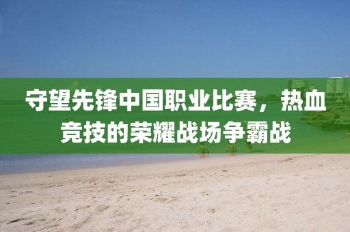 守望先锋中国职业比赛，热血竞技的荣耀战场争霸战