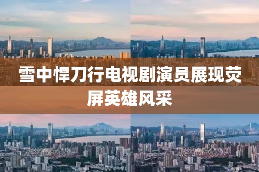 雪中悍刀行电视剧演员展现荧屏英雄风采