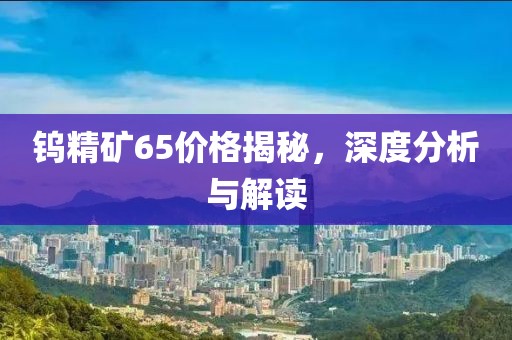 钨精矿65价格揭秘，深度分析与解读