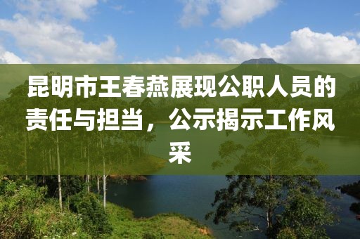 昆明市王春燕展现公职人员的责任与担当，公示揭示工作风采