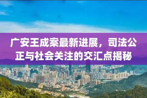 广安王成案最新进展，司法公正与社会关注的交汇点揭秘