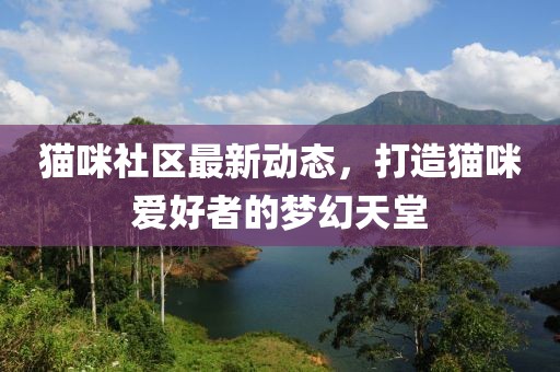 猫咪社区最新动态，打造猫咪爱好者的梦幻天堂
