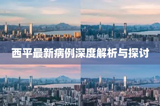 西平最新病例深度解析与探讨
