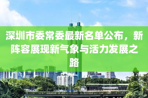 深圳市委常委最新名单公布，新阵容展现新气象与活力发展之路