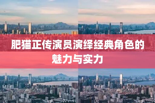 肥猫正传演员演绎经典角色的魅力与实力