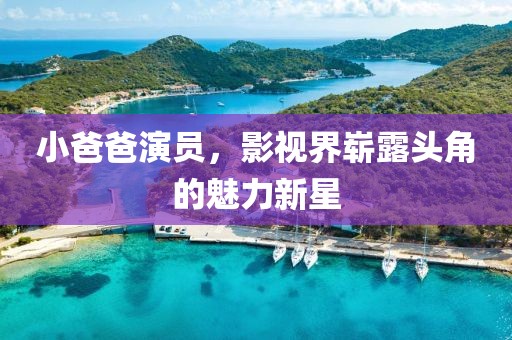 小爸爸演员，影视界崭露头角的魅力新星