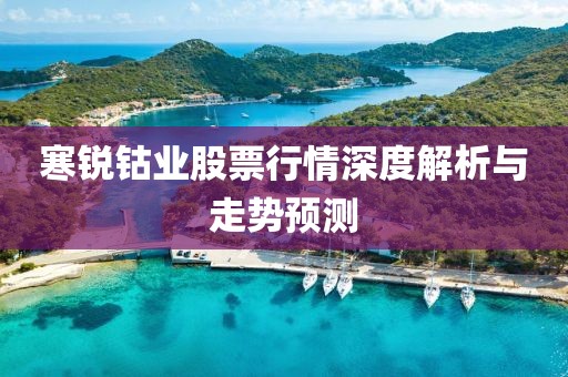 寒锐钴业股票行情深度解析与走势预测