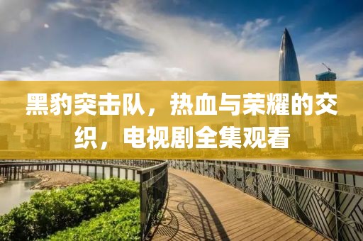 黑豹突击队，热血与荣耀的交织，电视剧全集观看