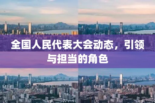 全国人民代表大会动态，引领与担当的角色