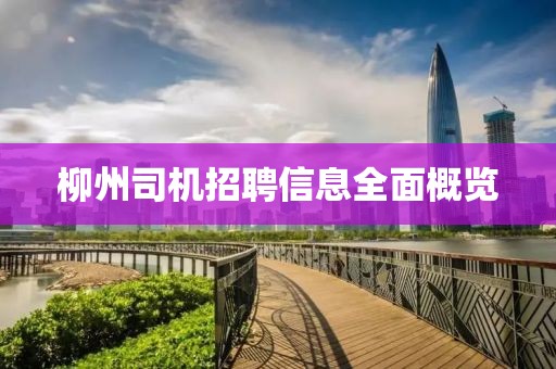 柳州司机招聘信息全面概览