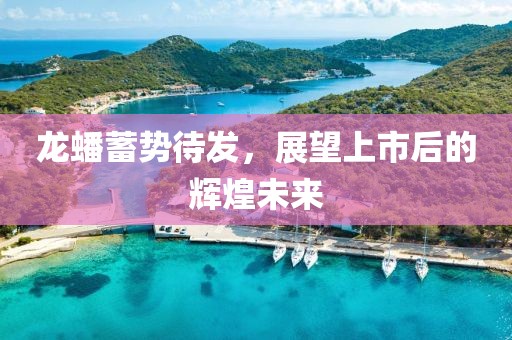 龙蟠蓄势待发，展望上市后的辉煌未来