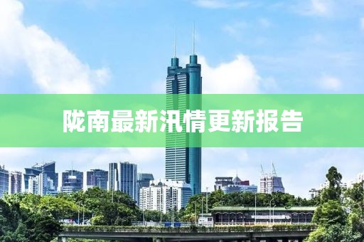 陇南最新汛情更新报告