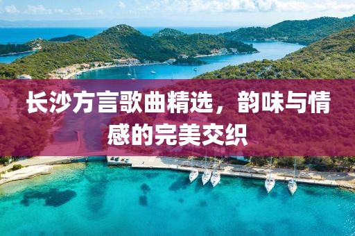 长沙方言歌曲精选，韵味与情感的完美交织