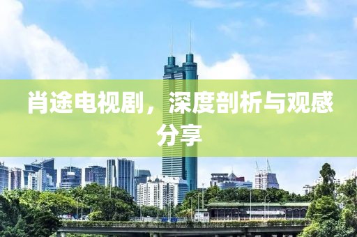 肖途电视剧，深度剖析与观感分享