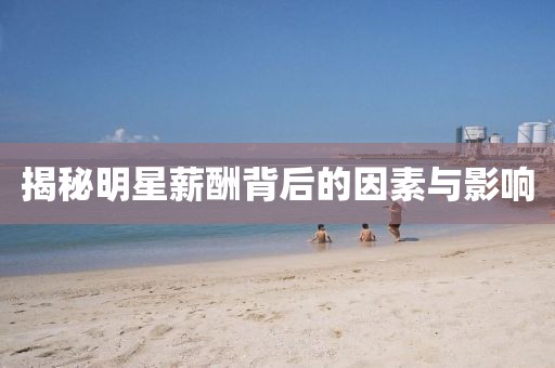 揭秘明星薪酬背后的因素与影响
