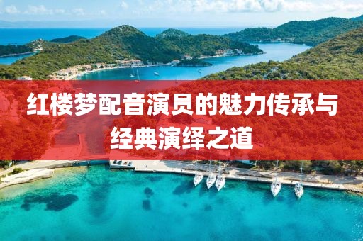 红楼梦配音演员的魅力传承与经典演绎之道
