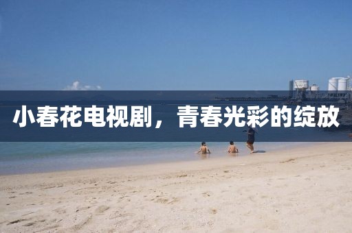 小春花电视剧，青春光彩的绽放