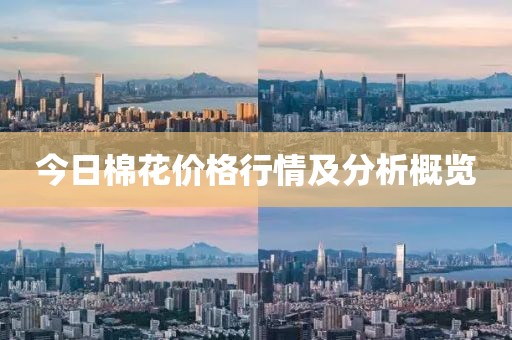 今日棉花价格行情及分析概览