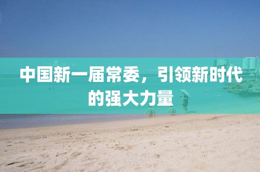 中国新一届常委，引领新时代的强大力量