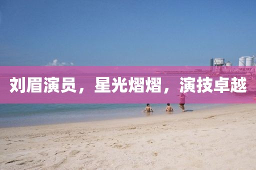 刘眉演员，星光熠熠，演技卓越