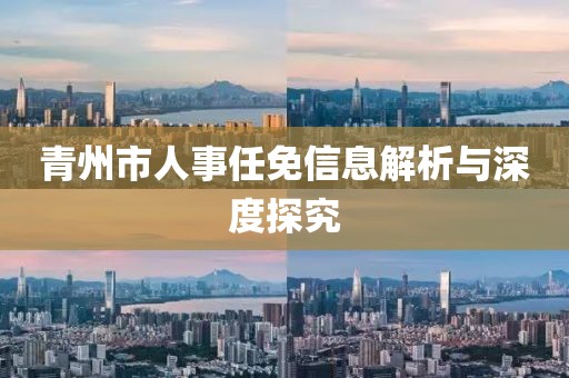 青州市人事任免信息解析与深度探究