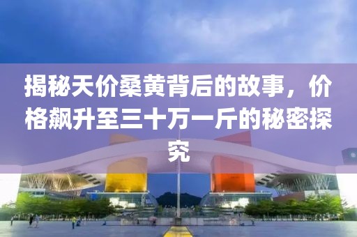 揭秘天价桑黄背后的故事，价格飙升至三十万一斤的秘密探究